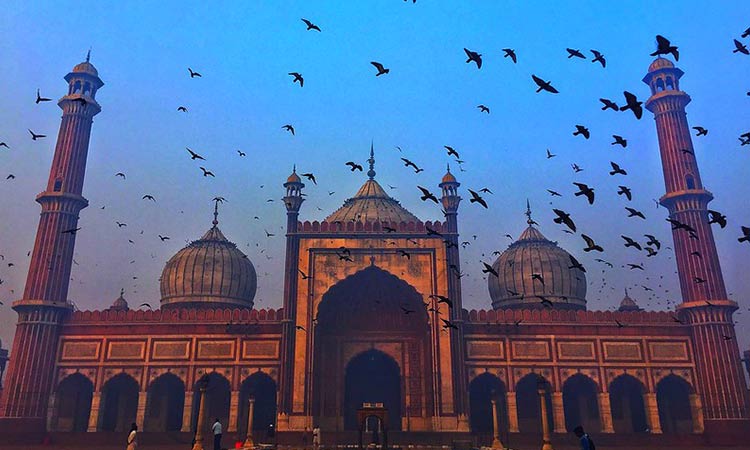Holiday Packages for Delhi, Jaipur, Agra with Experience