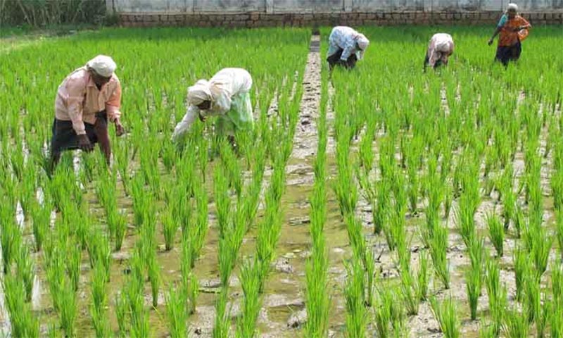 Explore an agriculture tour Explore an agriculture tour