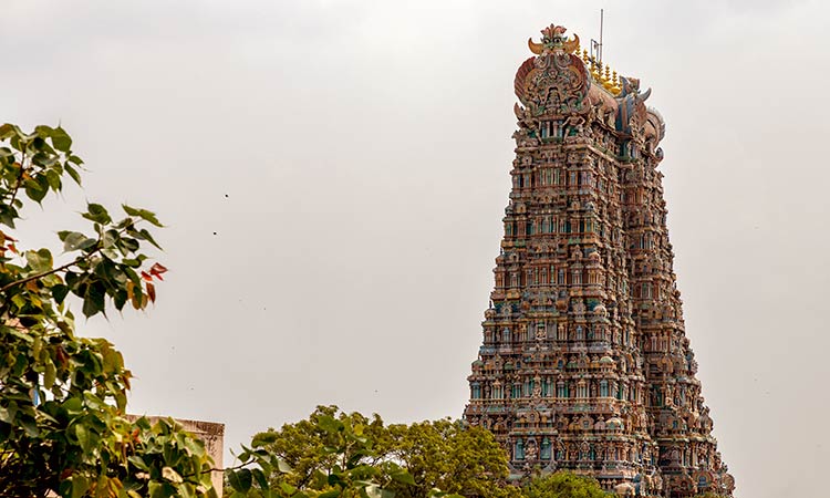 Best of Tamil Nadu tour package