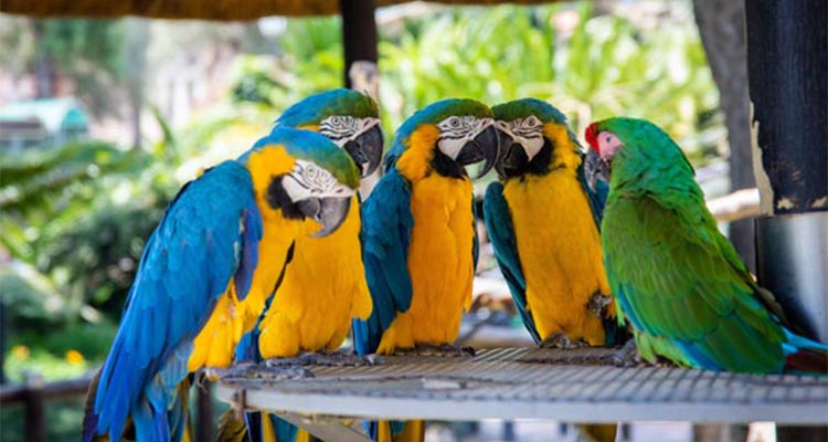 The most popular bird watching tour of India The most popular bird watching tour of India