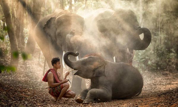 India and Sri Lanka Tour package India and Sri Lanka Tour package