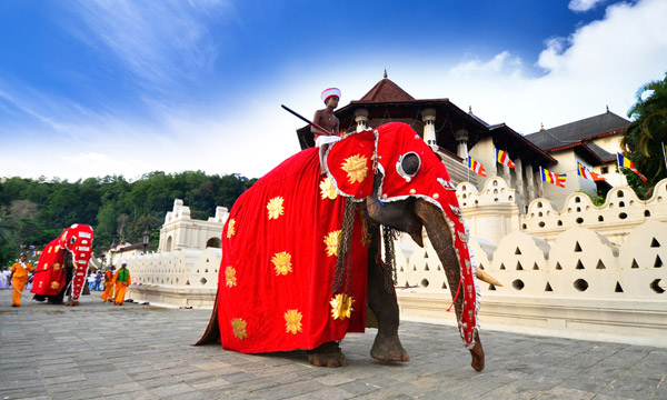 India and Sri Lanka Holiday