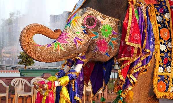 Royal Rajasthan Tour Package Royal Rajasthan Tour Package