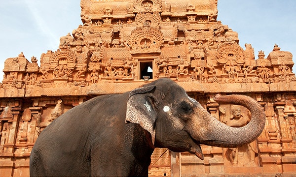 Holiday in South India