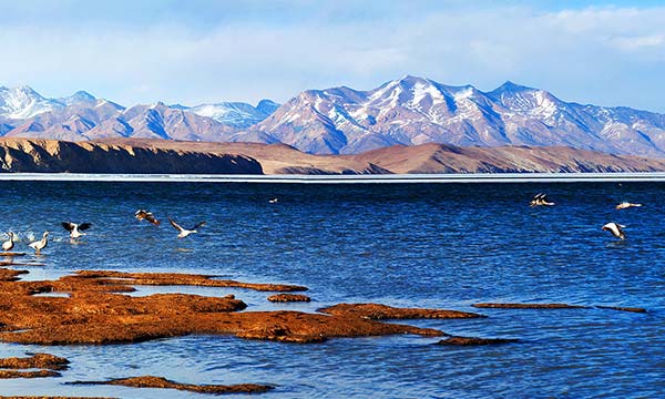 Kailash Mansarovar Yatra Tour Package