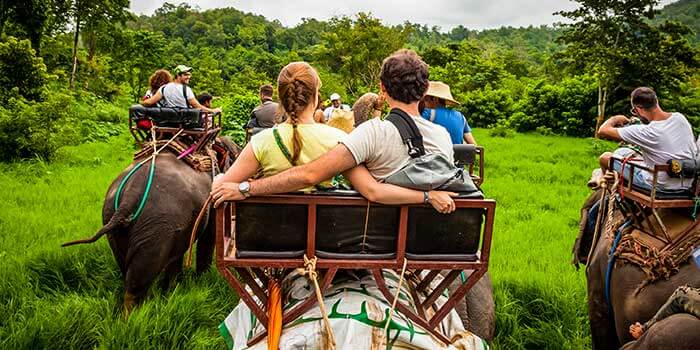 Kaziranga Wildlife Tour Package Assam Kaziranga Wildlife Tour Package Assam