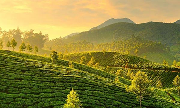 Kerala India Tour Package