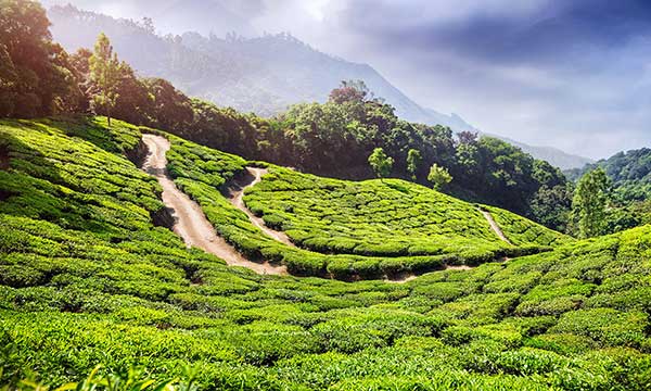 North East Nature Tour Package North East Nature Tour Package