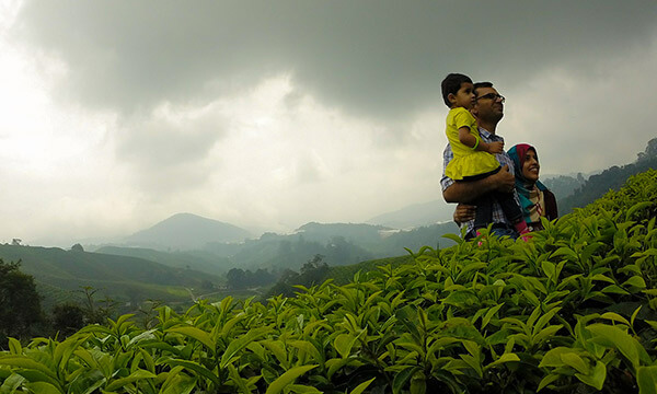 Spice and tea plantation tour of India Spice and tea plantation tour of India