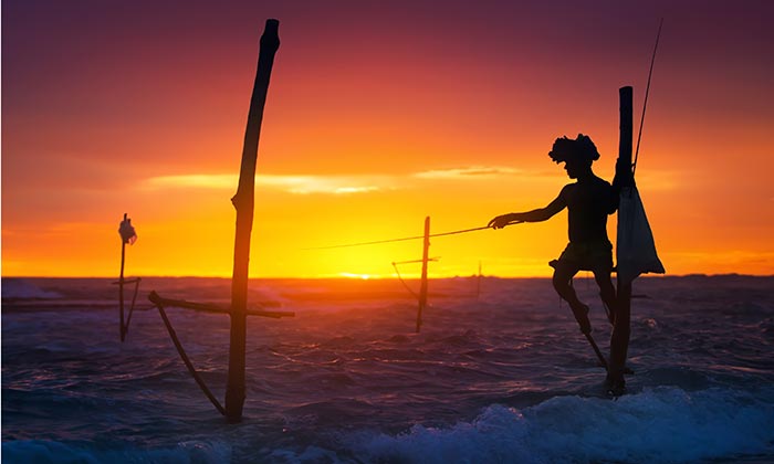 Sri Lanka holiday package Sri Lanka holiday package