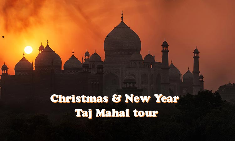 Christmas and new year India tour