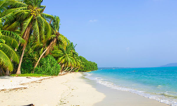 Tour Package of Port Blair and Havelock Tour Package of Port Blair and Havelock