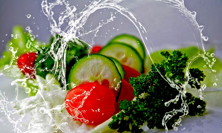 Vegetarian Holiday Package India