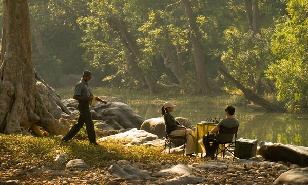 Jungle Safari Wildlife Tour Package Jungle Safari Wildlife Tour Package