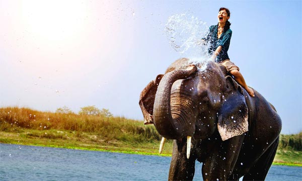 India Nepal Wildlife Tour Package India Nepal Wildlife Tour Package